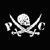 Pixelated white skull and crossed swords on black background with 'ARR!' text to the right.