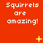 Red background with repeated white text "Squirrels are amazing!" and yellow star-like symbols in a pattern