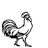 Animated contact sheet showing three frames of a rooster icon with text elements and a partial photo, all in black-and-white except for one color image.