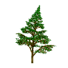 Six variations of a green coniferous tree with brown trunk displayed in two on white background