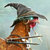 Pixelated image of a figure wearing a tall pointed hat with a curved brim, brown clothing, and a red mouth, set against a light blue background.