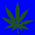 Dark green cannabis leaf silhouettes on solid blue background, arranged in four of five icons each