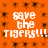 Orange background with black dots and white text reading "save the TIGERS!!!" in four repeated sections.
