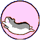 A pink circular icon with a gray and white hamster in various poses, including lying on back, standing, and rolling.