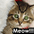 A pixelated cat with green eyes and brown tabby stripes wears a red bow on its head, with 'MEOW!!!' text below. The background is light gray.