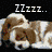 Animated sequence showing multiple dogs in various poses with overlaid text and color changes.