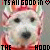 repeated dog faces wearing red and white striped hats with green accents, overlaid by text reading "IT'S ALL GOOD IN THE HOOD" in black pixelated font
