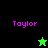 Four display the name 'Taylor' in pink text with a star icon changing from green to black against contrasting backgrounds
