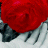 Four circular red and dark red icons with white and gray striped backgrounds arranged in a