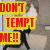 Animated sequence showing a cat and dog interacting with bold red text "DON'T TEMPT ME!!" in the top-left corner.