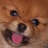 A pixelated dog face with a pink tongue and black nose, showing text changes from no visible text to "Go Away" in white block letters.