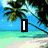 beach-themed images with overlaid text reading "I can't wait till summer 09!!" against tropical backgrounds