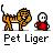 badassbuddy_com-petliger