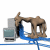 Animated contact sheet of a 3x3 grid showing eight sequential frames of two camel-like figures interacting with computer monitors on blue network cables against a white background.