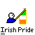 Pixelated character in blue clothing holds Irish flag with yellow pole; text "Irish Pride" appears below each instance.