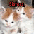 Two orange-and-white kittens appear in a split-screen layout with red text overlays reading Sisters, Always There Through Good And Bad.