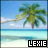 Pixelated beach scene with palm tree, blue sky, and ocean; two versions of 'LEXIE' text at bottom left (black) and right (blue).