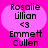 Two identical pixelated heart-shaped icons with pink backgrounds display text and symbols in black.