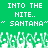 Green background with white pixelated text reading "INTO THE NITE.." and "SANTANA" in double quotes, below which are green-and-white pixelated grass-like shapes.
