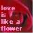 Pixelated red-toned image with pink text reading 'love is like a flower' on a blurred background.