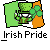 A pixelated Irish-themed buddy icon featuring a leprechaun with green hat and shamrocks on an Irish flag background, displayed in two identical frames within a contact sheet.