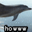A dolphin swims left to right across a light blue background with text overlays reading 'howww', 'sweet', and 'is that!!!' in pixelated font.