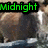 Animated sequence showing a character with brown hair and white accents, transitioning from 'Midnight' text to 'and' then 'Me' in colored pixelated fonts.