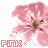 Pixelated pink flower with five petals and brown center, featuring 'FINK' text in blocky red letters below.