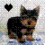 Pixelated icon of a small dog with dark and light brown fur, standing against a checkered background with scattered colored dots and a black heart symbol.