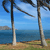 Pixelated beach scene with two palm trees, blue sky, ocean, and sandy shore under bright lighting.