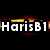 A static buddy icon with four distinct sections: top-left text, top-right portrait, bottom-left text, and bottom-right empty space.