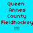 Pixelated text displays 'Queen Annes County Fieldhockey !!!!' on a cyan background with black and red text variations across repeated sections