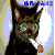 Pixelated image of a dark-furred cat with green eyes, positioned against a light blue and beige background with white circular highlights.