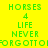 Pixelated green text on colored backgrounds: 'HORSES 4 LIFE NEVER FORGOTTO' repeated across yellow, light green, and cyan sections.