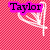 Pixelated pink background with white heart-shaped doodles and purple text overlays reading Taylor, And, Jake, 4333.