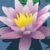 Pixelated image of a pink water lily with yellow center, green leaves in background, blue water surface.