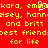 Red background with yellow pixelated text listing names and 'best friends for life' phrases, featuring a white heart symbol over the word 'embroidery'.