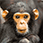 Pixelated monkey face on left with three instances of yellow text 'Jaime' on bright pink background.