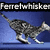 Animated sequence of a gray tabby cat in motion, resting, and facing forward with blue eyes, accompanied by text overlays.