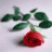 A red rose with green leaves on a light background, overlaid with pixelated text that changes across frames.