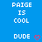 Blue background with white text 'PAIGE IS COOL' and 'DUDE' repeated in a , each 'DUDE' paired with a red heart symbol