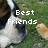 A dog with black and white fur lies on green grass next to a small yellow chick, with pixelated text appearing in different positions across frames.