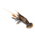 Animated sea creature with segmented brown body, orange-tipped antennae, and multiple legs in various poses against white background.