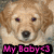 Pixelated close-up of a light brown dog's face with dark eyes and nose, overlaid by pink text reading 'My Baby <3' on black background.
