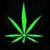 Green cannabis leaf icon with animated light effects on black and green backgrounds, accompanied by text reading "MY GOD SITS INSIDE A BLUNT WRAP.".