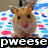 six animal images with overlaid text: a hamster on patterned fabric, a hamster with a red object, a rabbit, a dog, and two dogs with text captions
