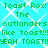 Green pixelated text repeats 'Toast Rox! The outlanders like toast!!! YEAH TOAST!!' on a cyan background with white crosshatch pattern.