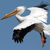 A pixelated bird with white body, black wingtips, and orange-brown beak flies against a solid blue background.