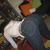 A white cat in dark blue jeans stands on a colorful patterned floor with orange and green shapes.