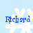 Blue text 'Richard' overlaid on white snowflake icons against a light blue background, with visible pixelation and animation changes across frames.